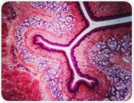 Deep-learning tissue clocks reveal how organs age and leave disease-linked signals in blood