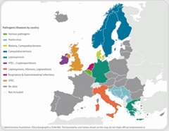 Heavy rainfall and flooding raise infectious disease risks across Europe