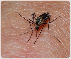 New vaccination approach turns mosquito bites into immunity boosters