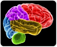 Aging shifts memories from vivid details to bigger picture