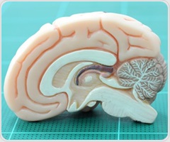 New brain wave theory explains cognition and consciousness