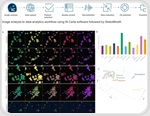 Accelerated phenotypic profiling with high-content imaging and AI image analysis