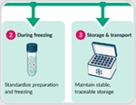 Practical cryopreservation strategies for cell recovery