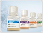 Cryopreservation methods for diverse cell types