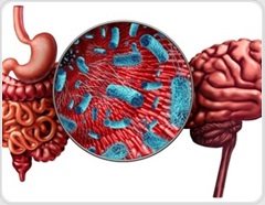 Probiotics for mental health? A new review finds promising signals and major gaps