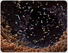 Gut microbiome atlas maps how bacteria establish themselves and shift in inflammatory bowel disease