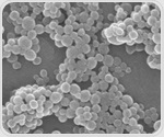 Nanoparticles regenerate neurons and improve cognition in Alzheimer’s mice