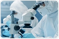 Study reveals how manufacturing methods affect herbal medicine potency