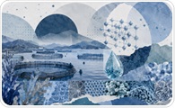 Nanoparticles Show Promise for Safer Drugs, Vaccines, and Water in Aquaculture