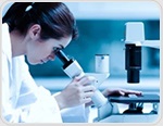 New grants support biotechnology and cancer research projects at KIT