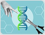 CRISPR-Combo Technology Accelerates Plant Regeneration for Hard-to-Breed Perennial Crop Varieties