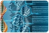 Researchers map DNA's physical code using large-scale simulations