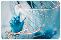 Histone Variants Control DNA Methylation Patterns in Plant Genomes