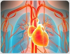 Too little or too much testosterone may matter for heart rhythm