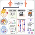 Refined starch activates immune pathways after low-carb weight loss