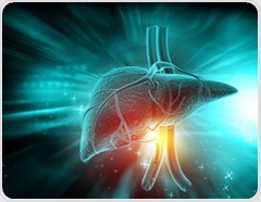 The scale told a similar story across three diets. The liver told a different one