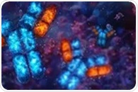 Antibody Engineering: How Modern Antibody Technologies Are Transforming Healthcare