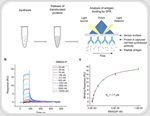 Streamlining AI-driven drug discovery with cell-free expression and SPR