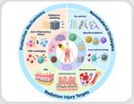 Nanomaterials Offer Multiple Routes to Protect Healthy Tissue From Radiation Damage