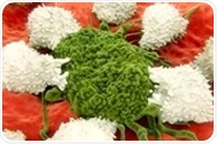 Self-assembling antibody drugs successfully target multiple cancer receptors