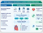 What links smoking, body fat, mental health, genes, and heart risk? Inflammation may be part of the answer