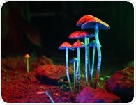 Could age help explain why psychedelic studies reach different conclusions?