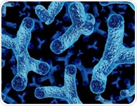Why one gut microbe is attracting attention in heart failure research