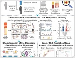 Cancer-related DNA changes may appear in blood years before diagnosis