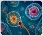 New Computational Tool Estimates Cell Age by Analyzing Gene Activity Patterns