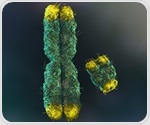 Integrated Multi-Omics Maps Metabolic Shift During Seed Development Stages