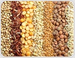 Children who ate healthier plant foods had slightly lower blood pressure later