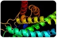 Single-Molecule Optical Tweezers Visualize Real-Time Dynamic Protein and DNA Interactions
