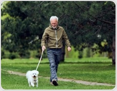 People who walk more each day tend to score better on several brain tests