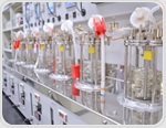 Real-Time Monitoring and Process Control in Bioprocessing