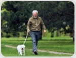 People who walk more each day tend to score better on several brain tests