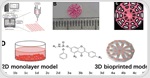 How does 3D bioprinting improve drug screening accuracy?