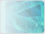 Streamlining CRISPR workflows, from editing to analysis