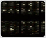 DNA microarray