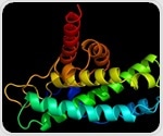 Kyoto University researchers identify specific gene as key regulator in iron uptake