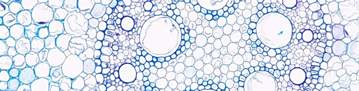 Biochemistry tile image