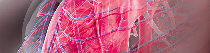 Cardiology tile image