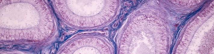 Cell Biology tile image