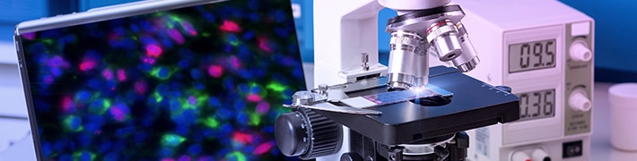 Digital Pathology & Histology tile image