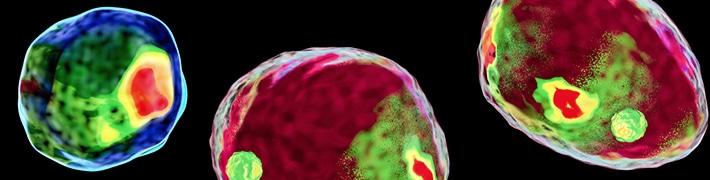 Flow Cytometry tile image