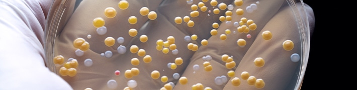 Forensics & Toxicology tile image